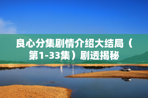 良心分集剧情介绍大结局（第1-33集）剧透揭秘