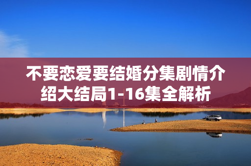 不要恋爱要结婚分集剧情介绍大结局1-16集全解析