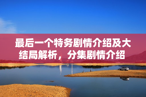 最后一个特务剧情介绍及大结局解析，分集剧情介绍 1-25集精彩回顾