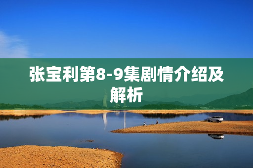 张宝利第8-9集剧情介绍及解析