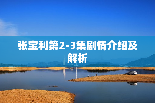 张宝利第2-3集剧情介绍及解析