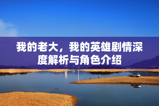 我的老大，我的英雄剧情深度解析与角色介绍