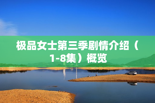 极品女士第三季剧情介绍（1-8集）概览