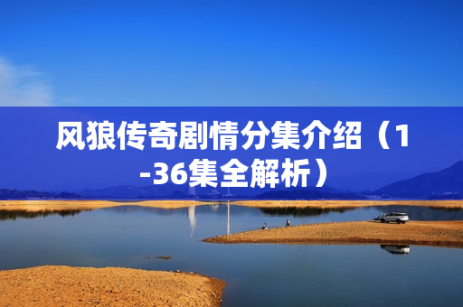 风狼传奇剧情分集介绍（1-36集全解析）