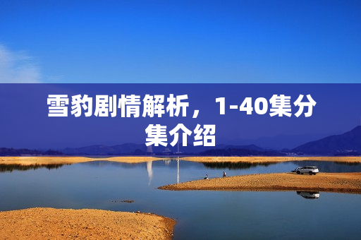 雪豹剧情解析，1-40集分集介绍