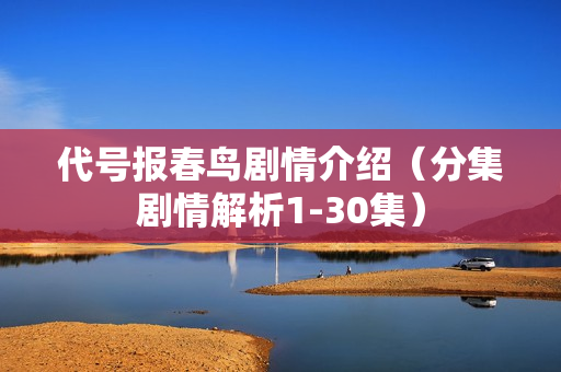代号报春鸟剧情介绍（分集剧情解析1-30集）