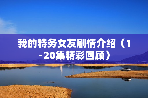 我的特务女友剧情介绍（1-20集精彩回顾）