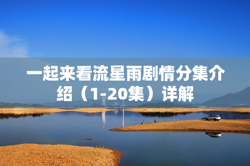 一起来看流星雨剧情分集介绍（1-20集）详解