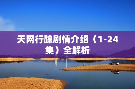 天网行踪剧情介绍（1-24集）全解析