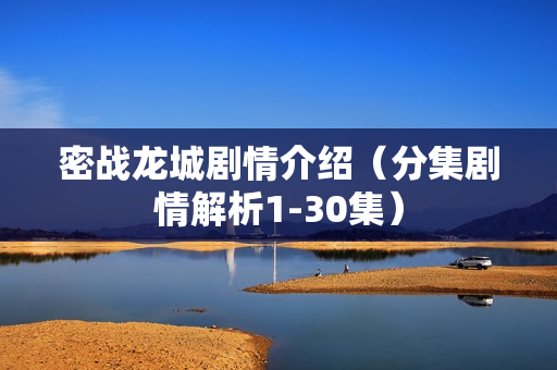密战龙城剧情介绍（分集剧情解析1-30集）
