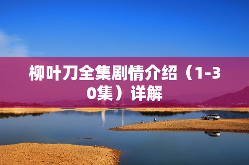 柳叶刀全集剧情介绍（1-30集）详解
