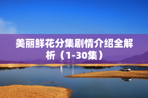 美丽鲜花分集剧情介绍全解析（1-30集）