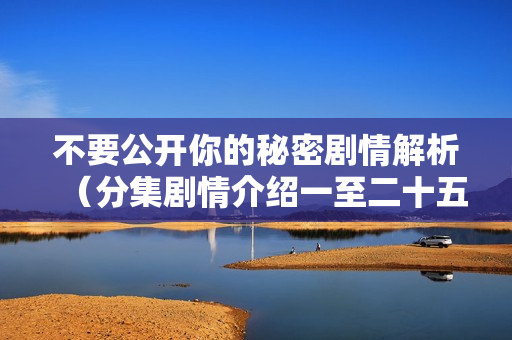 不要公开你的秘密剧情解析（分集剧情介绍一至二十五集）