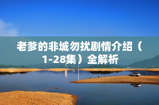 老爹的非城勿扰剧情介绍（1-28集）全解析