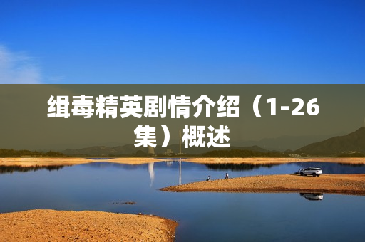 缉毒精英剧情介绍（1-26集）概述