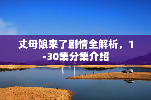 丈母娘来了剧情全解析，1-30集分集介绍