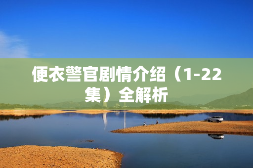 便衣警官剧情介绍（1-22集）全解析