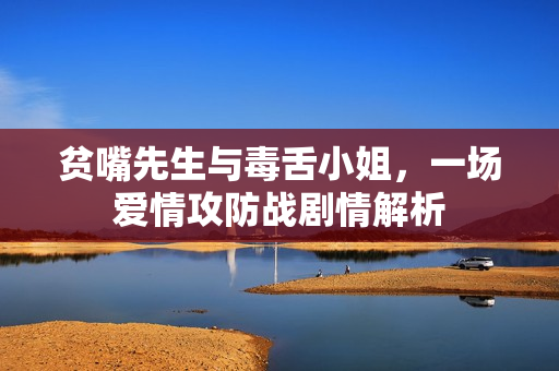 贫嘴先生与毒舌小姐，一场爱情攻防战剧情解析