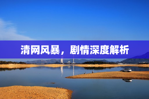 清网风暴,剧情深度解析 清网风暴,剧情深度解析