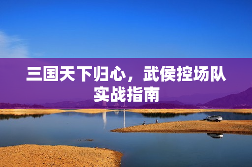 三国天下归心，武侯控场队实战指南