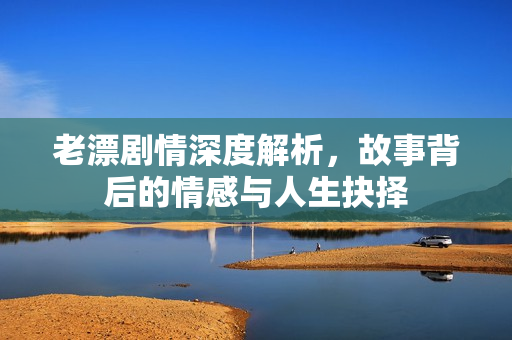 老漂剧情深度解析，故事背后的情感与人生抉择