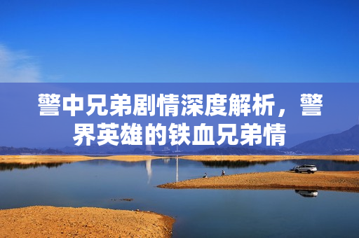 警中兄弟剧情深度解析，警界英雄的铁血兄弟情