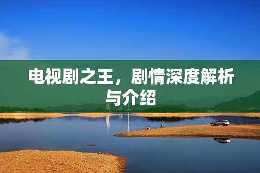 电视剧之王,剧情深度解析与介绍 电视剧之王,剧情深度解析与介绍