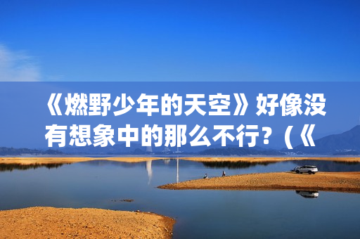 《燃野少年的天空》好像没有想象中的那么不行？(《燃野少年的天空》续集)