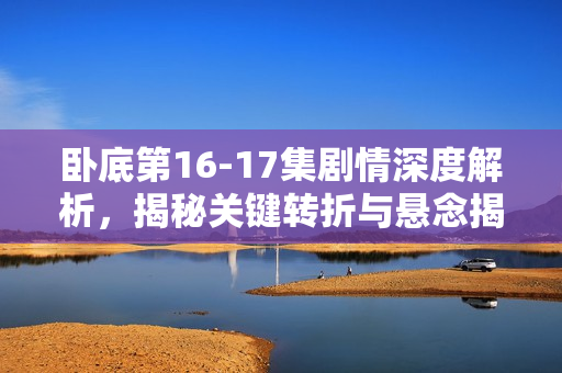 卧底第16-17集剧情深度解析，揭秘关键转折与悬念揭晓