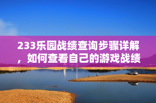 233乐园战绩查询步骤详解，如何查看自己的游戏战绩？