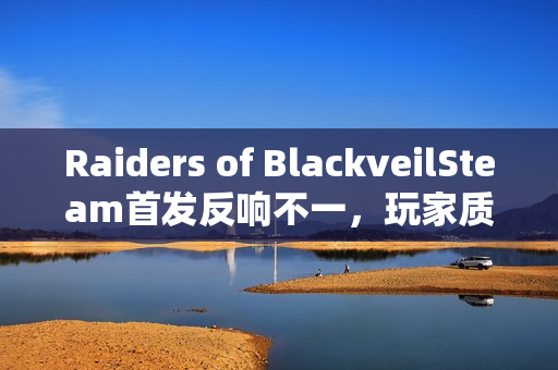 Raiders of BlackveilSteam首发反响不一，玩家质疑服务器质量与强制联网要求