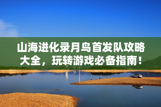 山海进化录月鸟首发队攻略大全，玩转游戏必备指南！
