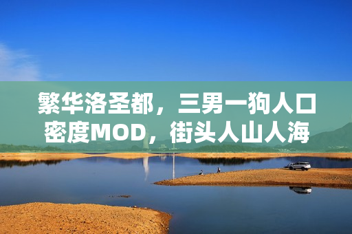 繁华洛圣都,三男一狗人口密度MOD,街头人山人海 繁华洛圣都,三男一狗人口密度MOD,街头人山人海