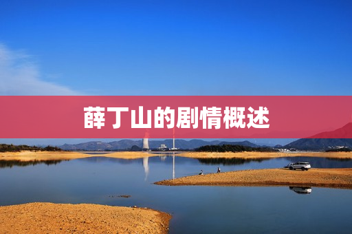 薛丁山的剧情概述