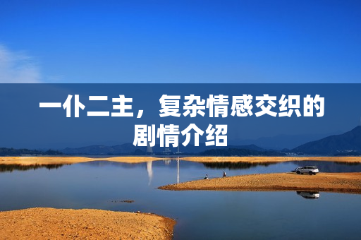 一仆二主，复杂情感交织的剧情介绍