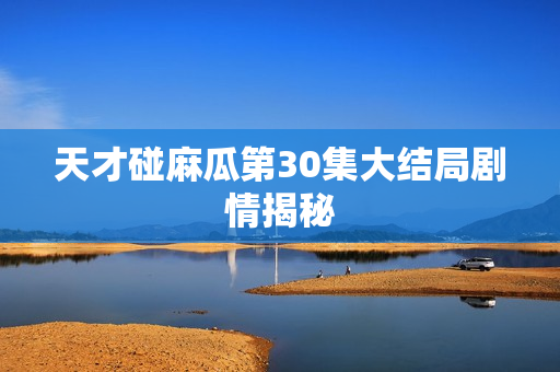 天才碰麻瓜第30集大结局剧情揭秘 天才碰麻瓜第30集大结局剧情揭秘