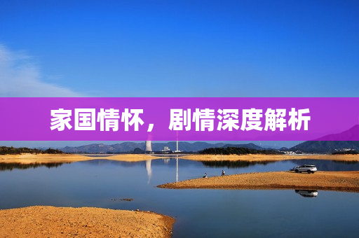 家国情怀，剧情深度解析