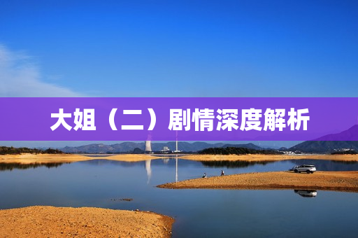 大姐（二）剧情深度解析