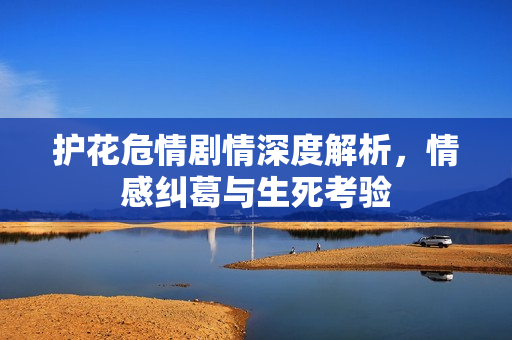 护花危情剧情深度解析，情感纠葛与生死考验