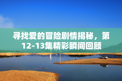 寻找爱的冒险剧情揭秘，第12-13集精彩瞬间回顾