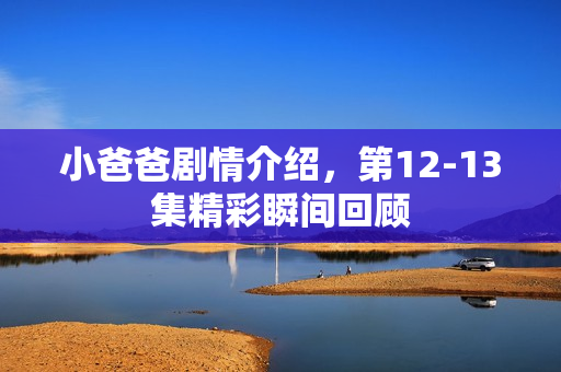 小爸爸剧情介绍，第12-13集精彩瞬间回顾