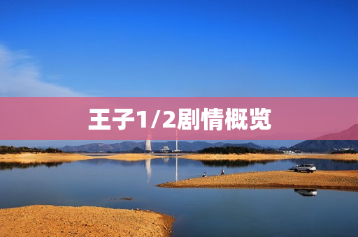 王子1/2剧情概览