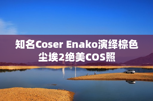知名Coser Enako演绎棕色尘埃2绝美COS照