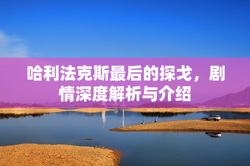 哈利法克斯最后的探戈，剧情深度解析与介绍