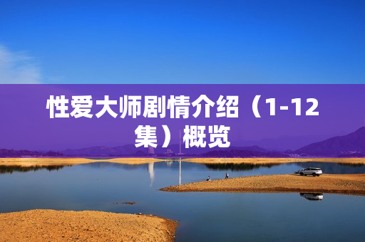 性爱大师剧情介绍（1-12集）概览