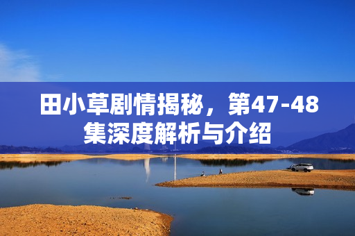 田小草剧情揭秘，第47-48集深度解析与介绍