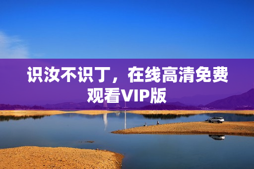 识汝不识丁，在线高清免费观看VIP版