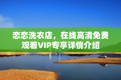 恋恋洗衣店，在线高清免费观看VIP专享详情介绍