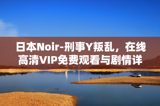 日本Noir-刑事Y叛乱，在线高清VIP免费观看与剧情详解