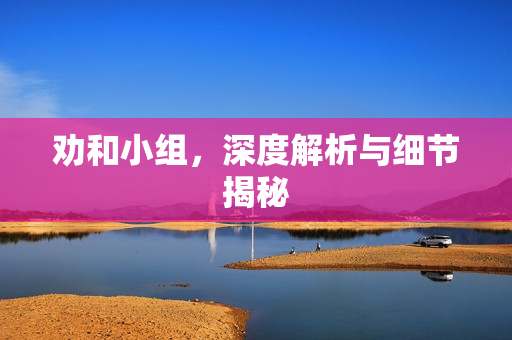 劝和小组，深度解析与细节揭秘